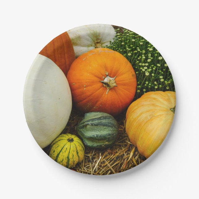 Plato De Papel Calabazas Y Gris (Anverso)