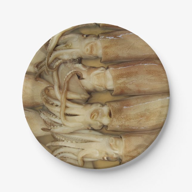 Plato De Papel Calamari (Anverso)