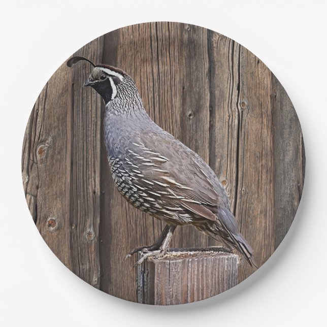 PLATO DE PAPEL CALIFORNIA QUAIL EN BARNBOTE (Anverso)