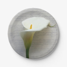 Calla lily en el viejo guion