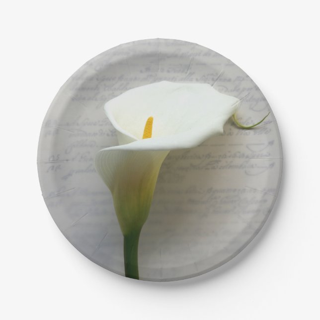 Plato De Papel Calla lily en el viejo guion (Anverso)