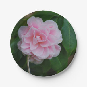Plato De Papel Camelia rosado bonito
