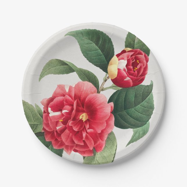 Plato De Papel Camelia Variegada, Pierre-Joseph Redouté, 1833 (Anverso)