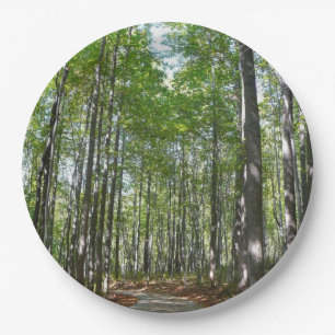 Plato De Papel Camino Maderado Centenario II Ellicott City Maryla