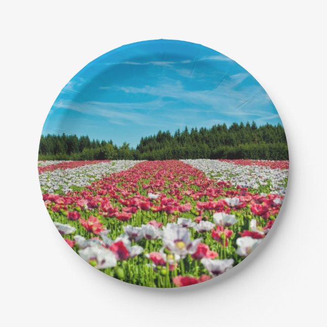 Plato De Papel Campo de amapolas rojas y blancas (Anverso)