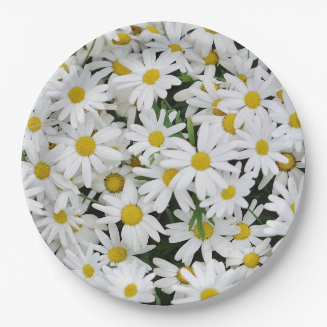Plato De Papel Campo de Daisies (Anverso)