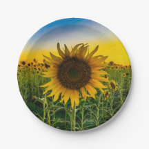 Campo de girasoles de Kansas