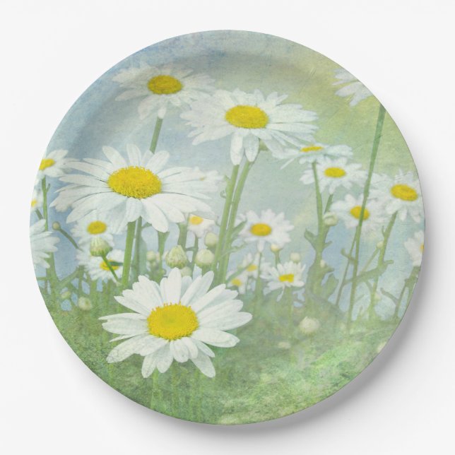 Plato De Papel Campo de margarita de verano (Anverso)