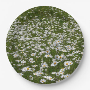 Plato De Papel Campo de Margaritas Flores Silvestres de Alaska