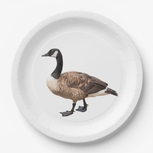 Plato De Papel Canada Goose (Anverso)