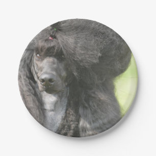 Plato De Papel Caniche negro dulce