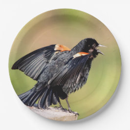 Plato De Papel Canto de pájaro negro alado rojo