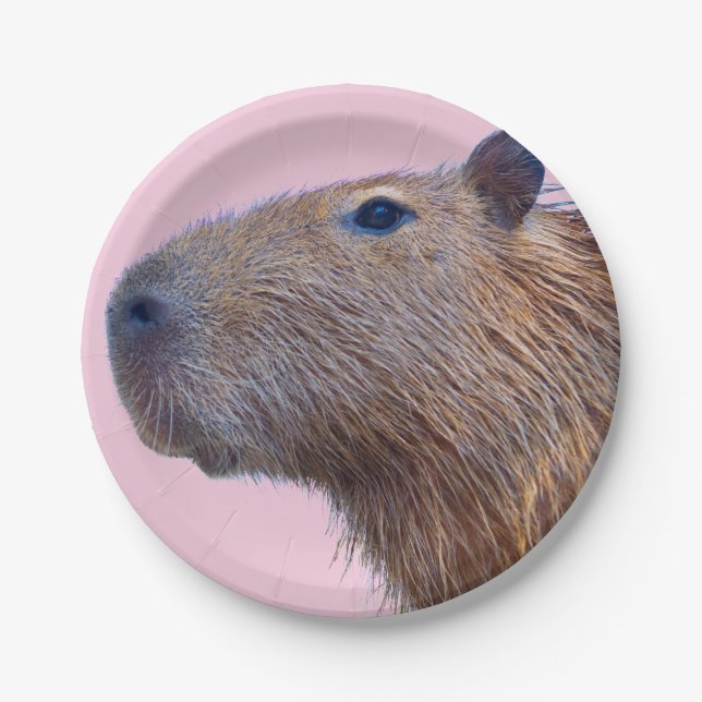 Plato De Papel Capibara (Anverso)
