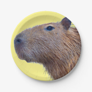 Plato De Papel Capibara