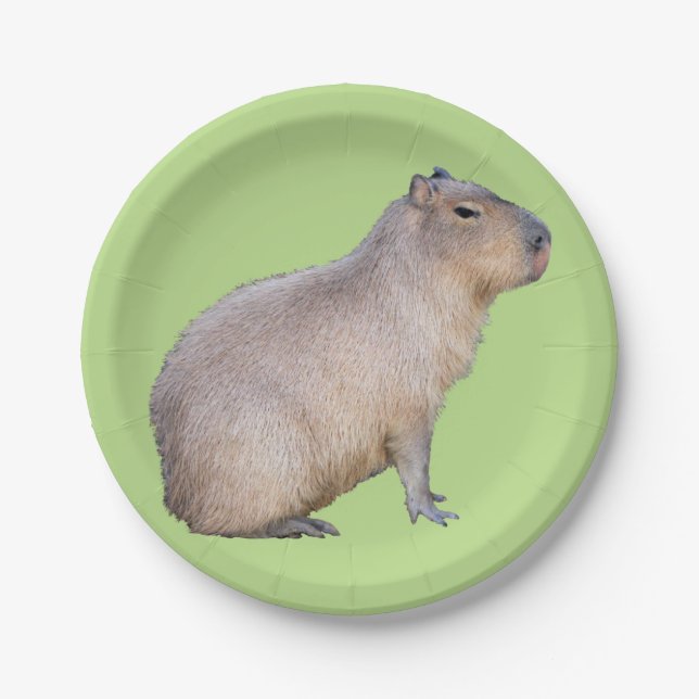 Plato De Papel Capibara (Anverso)