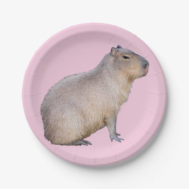 Plato De Papel Capibara (Anverso)