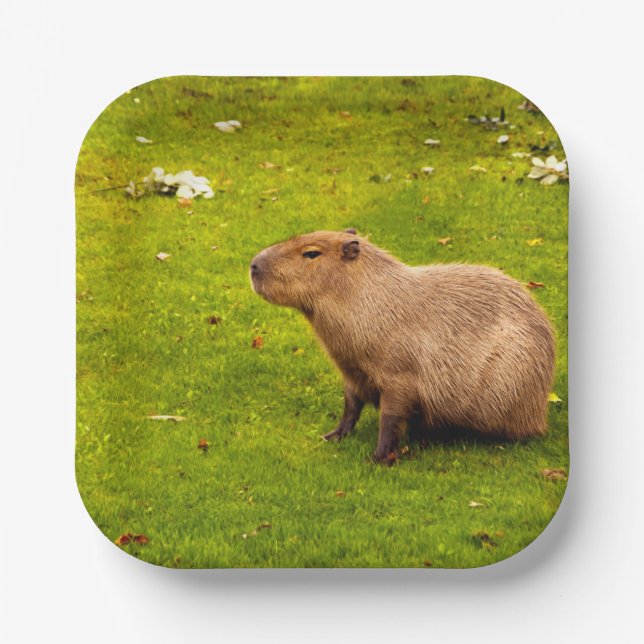 Plato De Papel Capybara (Anverso)