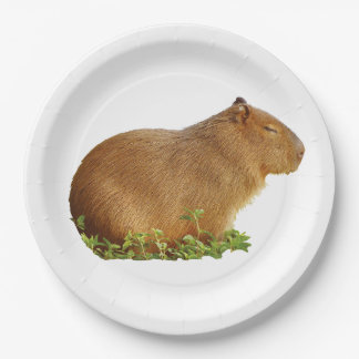 Plato De Papel capybara paper plate