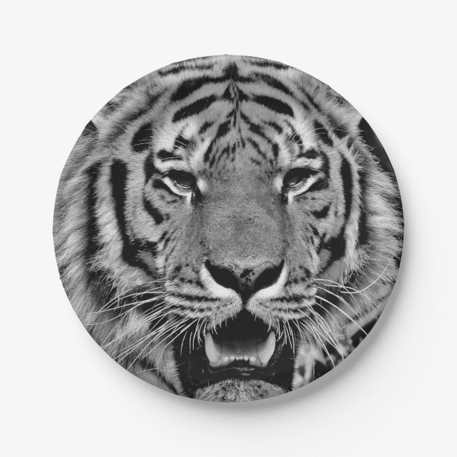 Plato De Papel Cara blanco y negro del tigre (Anverso)