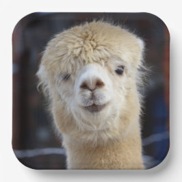 Plato De Papel Cara de alpaca linda        