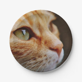 Plato De Papel Cara determinada de un gato jengibre