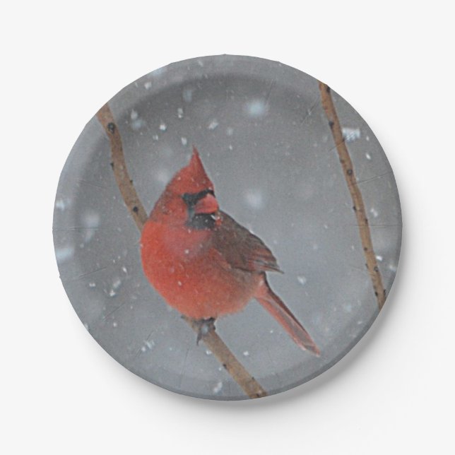 Plato De Papel Cardenal En Placa De Papel De Nieve (Anverso)