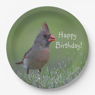 Plato De Papel Cardenal feliz cumpleaños