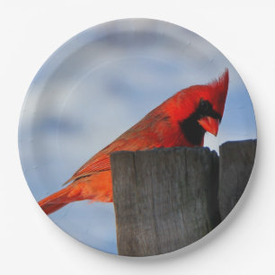Plato De Papel Cardenal rojo sobre trozos de madera