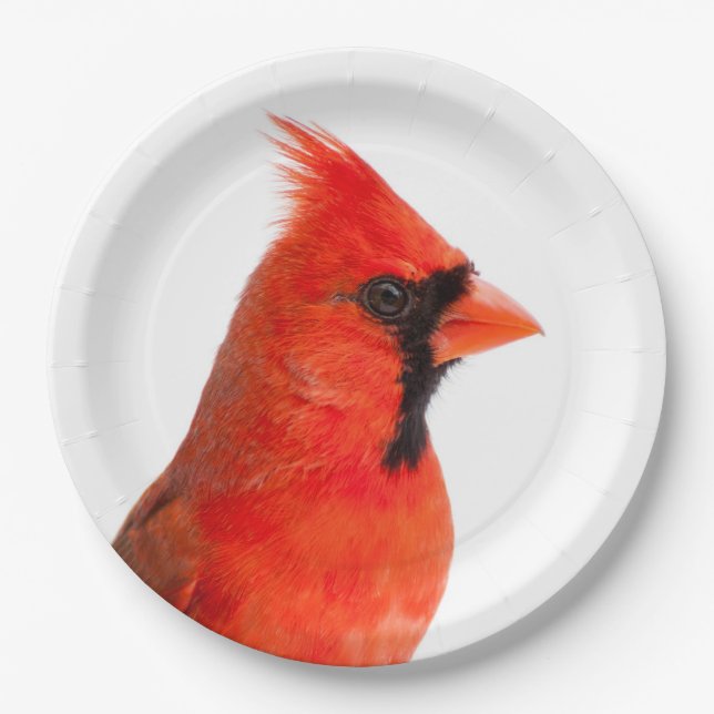 Plato De Papel Cardinal (Anverso)