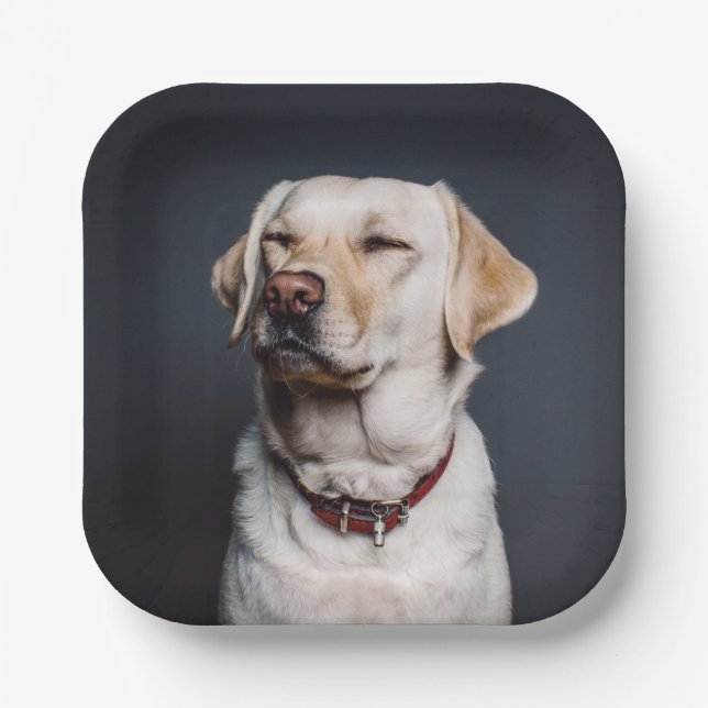 Plato De Papel Cargar tu foto (Anverso)