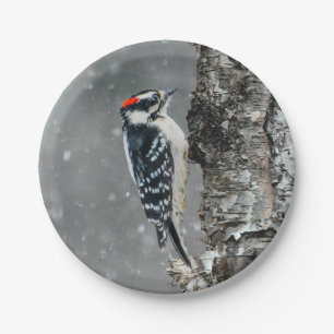 Plato De Papel Carpintero lechoso en nieve - Fotografía original