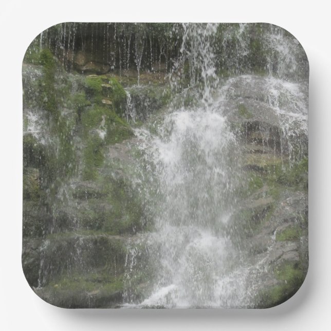 Plato De Papel Cascada La Chute en el Parque Nacional Forillon (Anverso)