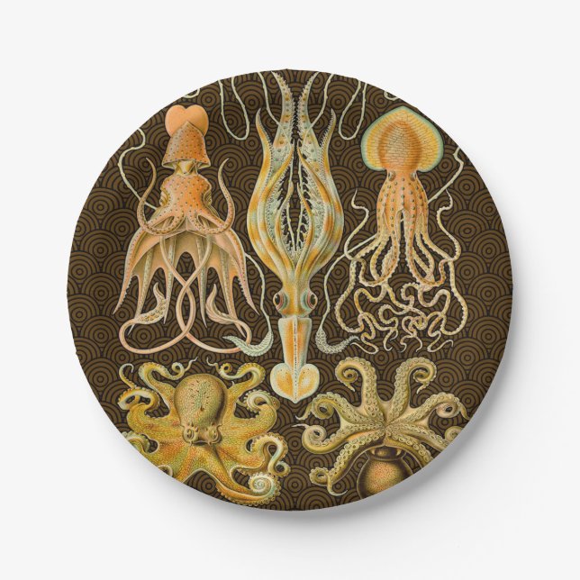 Plato De Papel Cephalopod Octopus Naturaleza marina de calamar (Anverso)