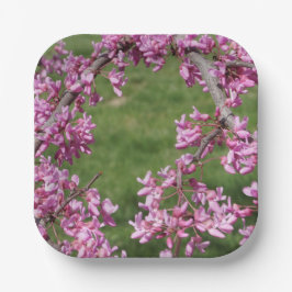 Plato De Papel Cercis