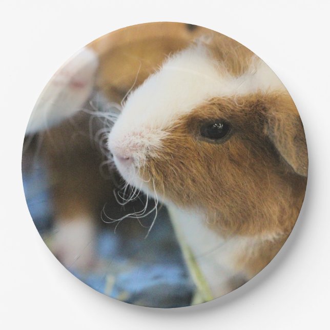 Plato De Papel Cerdo (Anverso)