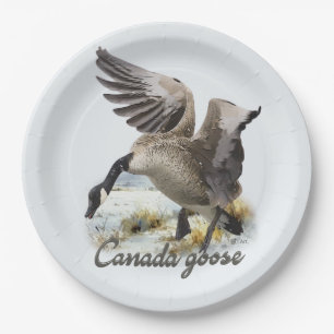 Plato De Papel Cerdo de Canadá, arte