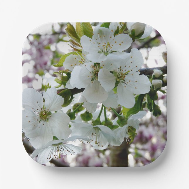 Plato De Papel Cerezo en flor (Anverso)
