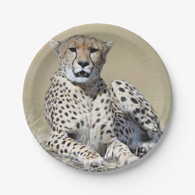 Plato De Papel Cheetah (Anverso)