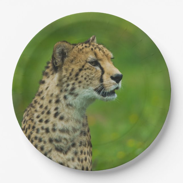 Plato De Papel Cheetah On A Lookout (Anverso)