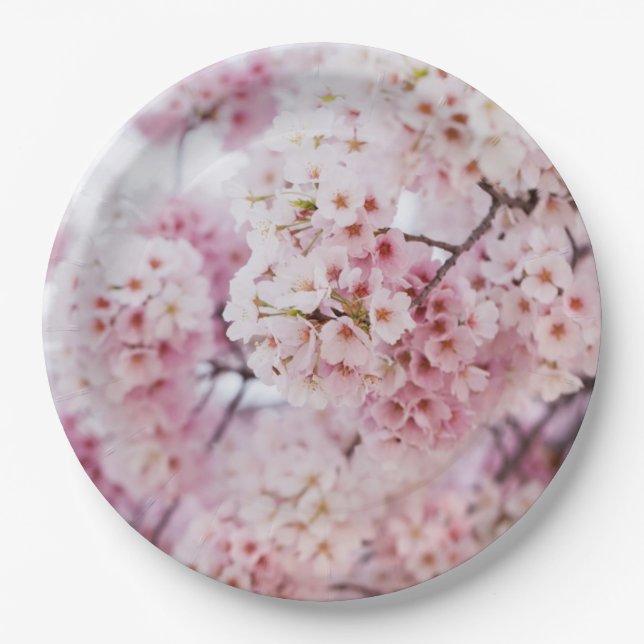 Plato De Papel Cherry Blossoms (Anverso)