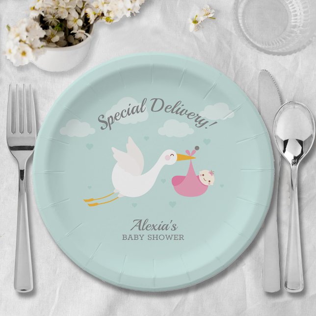 Plato De Papel Chica rosa de la cigüeña Baby Bundle Baby Shower (Cute stork pink baby bundle girl baby shower paper plates)