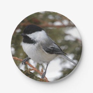 Plato De Papel Chickadee