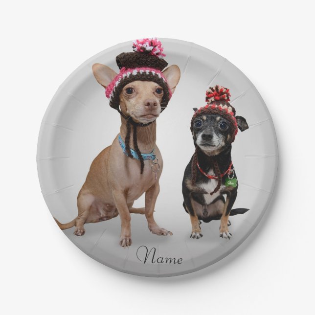 Plato De Papel Chihuahua (Anverso)