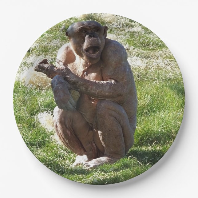 PLATO DE PAPEL CHIMPANCÉ (Anverso)