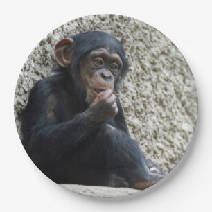 Plato De Papel Chimpanzee 013