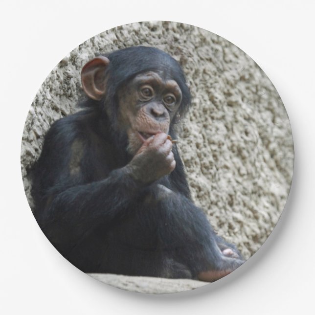Plato De Papel Chimpanzee 013 (Anverso)