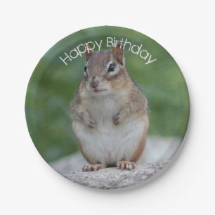 Plato De Papel Chipmunk