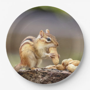 Plato De Papel Chipmunk comiendo un cacahuete