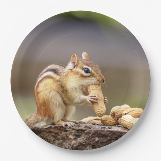Plato De Papel Chipmunk comiendo un cacahuete (Anverso)