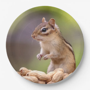 Plato De Papel Chipmunk con cacahuetes